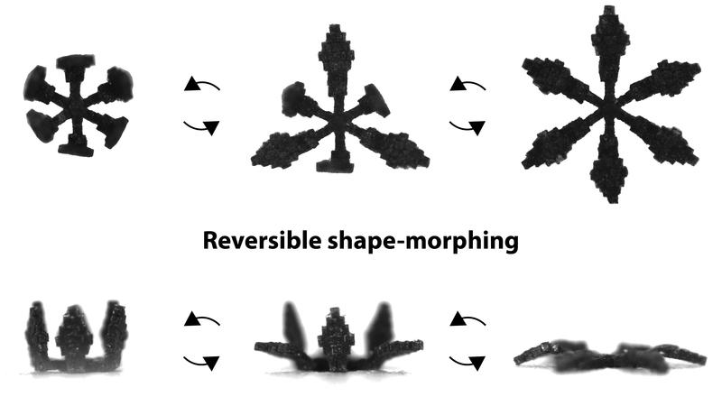 Morphing Engineering Modular Building Platform Empowers Miniature Robots - Innovations Report