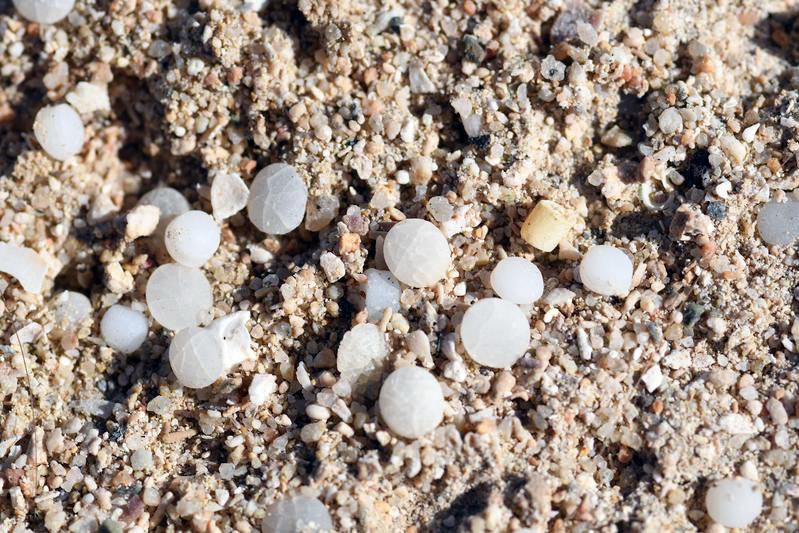 Microplastics: Shipwreck and beach as a real-world laboratory - Innovations Report