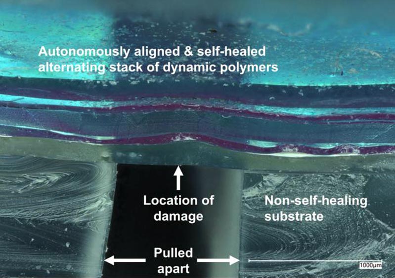 Layers of self-healing electronic skin - Innovations Report