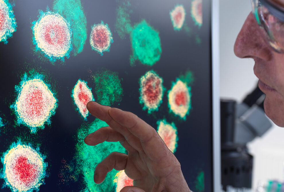 Exploring Cell Death and Aging in Cancer Research