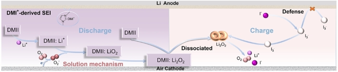 A novel bifunctional soluble catalyst of 1,3-dimethylimidazole iodide (DMII) is proposed for high-performance Li-O2 batteries. The anion I− enhances the cathode redox kinetics while the cation DMI+ promotes the formation of stable solid electrolyte interphase (SEI) layer and reduces the shuttle effect, thus realizing narrow overpotential and long-life Li-O2 battery.