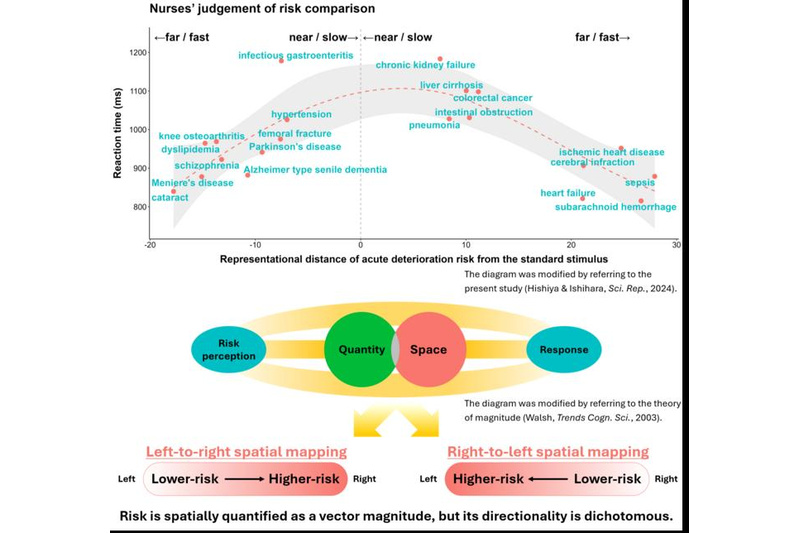 Perception of risk by nursing professionals.(top) Reaction time vs. difference between acute deterioration risk of reference condition (prostate cancer) and various conditions. (bottom). Risk perception and spatial response are clearly related. Respondents all showed either a left-to-right or right-to-left bias in how direction relates to higher or lower risk. Image Credit: Tokyo Metropolitan University