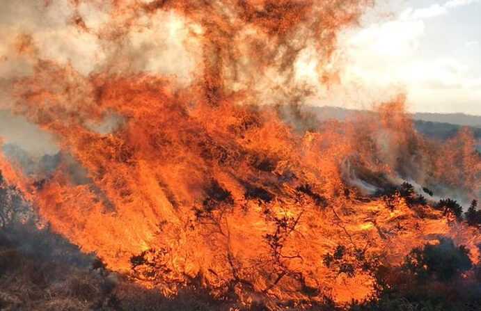 The new study led by the University of Cambridge has revealed that as our springs and summers get hotter and drier, the UK wildfire season is being stretched and intensified. Image Credit: Sarah Baker