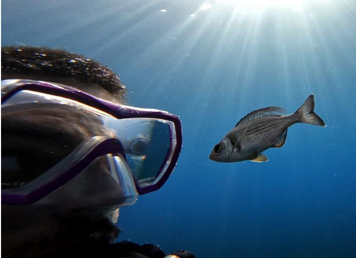 Study author, Maëlan Tomasek, with a “volunteer” in the experiment conducted in the Mediterranean Sea. Image Credit: Maëlan Tomasek