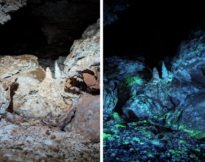 A section of South Dakota’s Wind Cave seen under normal white light (left image) transforms into something otherworldly when placed under UV light (right image). Image Credit: Joshua Sebree