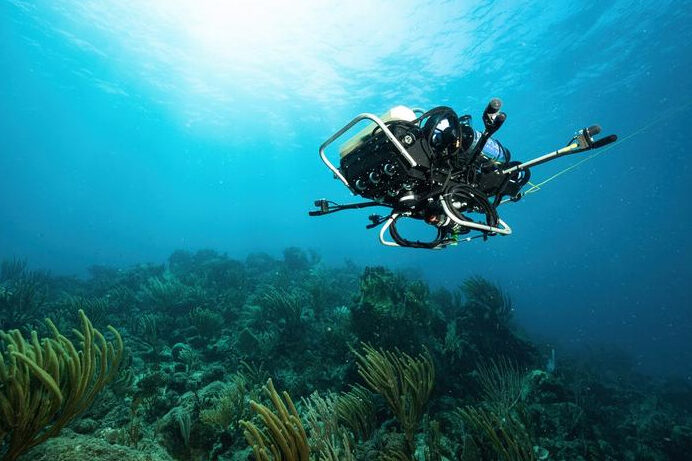 CUREE, an autonomous underwater robot, is used by the researchers to collect acoustic data for analysis. Image Credit: Austin Greene, Woods Hole Oceanographic Institution