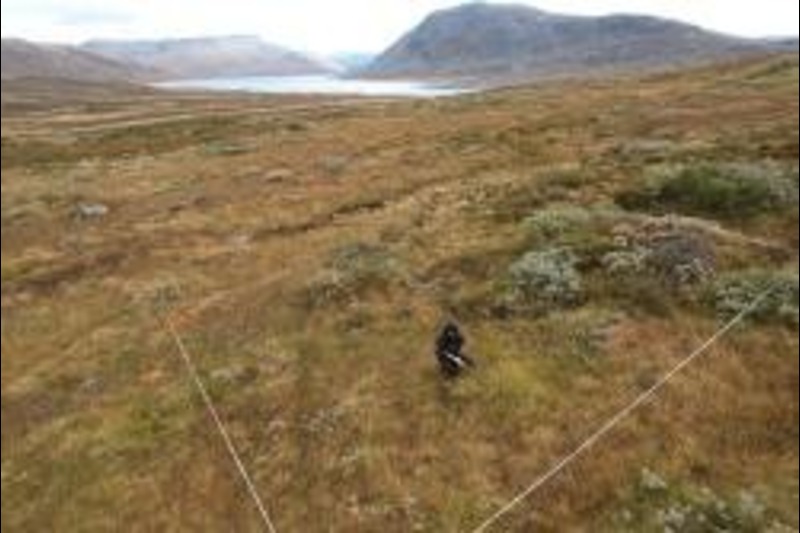 DarkDivNet site in Norway - one of the research network's 5,500 study areas worldwide. Credit: DarkDivNet