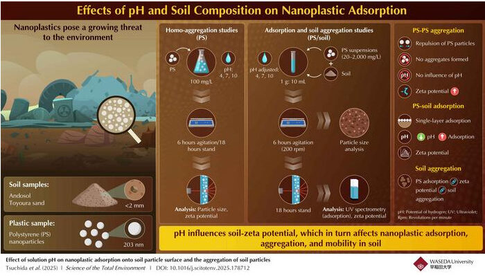 Researchers investigate the effect of soil pH and surface properties on the adsorption and aggregation behavior of plastic nanoparticles. Credit: Kyouhei Tsuchida from Waseda University, Japan