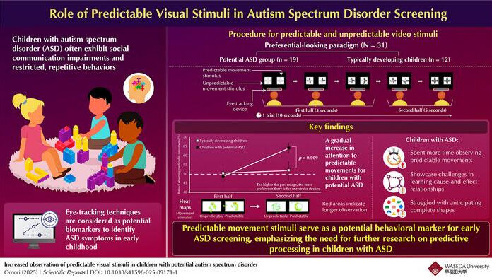 The study reveals that children with potential autism spectrum disorder (ASD) show a significant preference for predictable visual stimuli, spending more time observing them than typically developing children. Findings highlight the potential of using predictable movement patterns as an early behavioral marker for ASD, improving early detection and intervention strategies. Credit: Associate Professor Mikimasa Omori from Waseda University, Japan