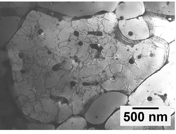 Electron microscope image of the aluminum alloy from the study. The light gray areas are sections of traditional crystals within the aluminum alloy, while the black dots are sections where NIST found quasicrystals. Meandering black lines emanate from the quasicrystal sections. These lines are defects that break up the pattern of traditional crystals throughout the alloy, increasing its strength. Credit: NIST