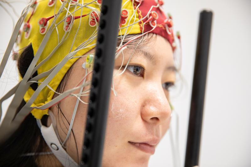 The brain learns to filter out distracting stimuli over time