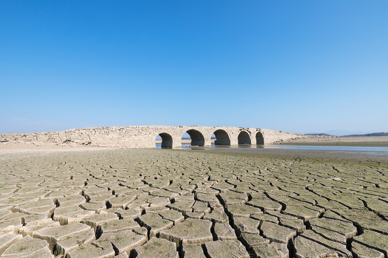Extreme drought contributed to barbarian invasion of late Roman Britain, tree-ring study reveals
