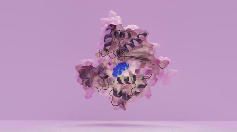 New pathoblocker is to stop Salmonella infections early on