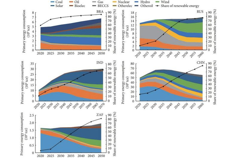 Primary energy consumption by fuel.