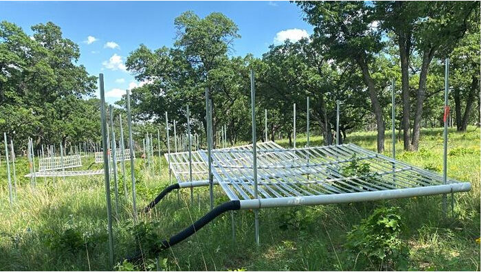Cedar Creek Long Term Ecological Research Site