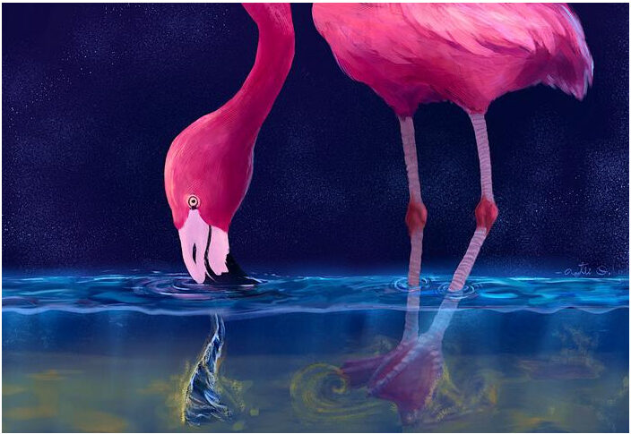 Flamingos create water vortices to capture prey
