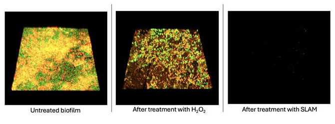 Research Image