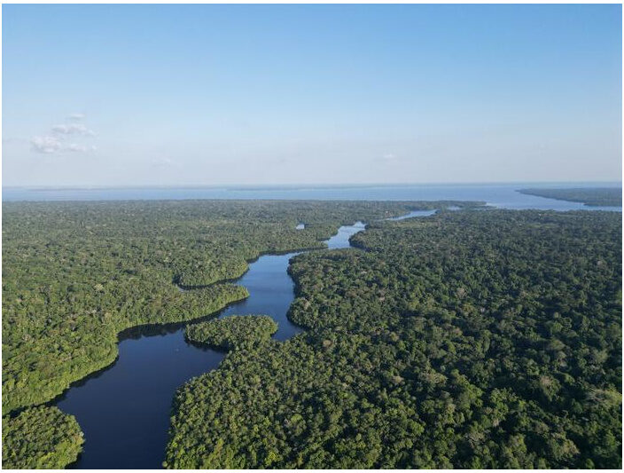 Caxiuanã National Forest, Brazil