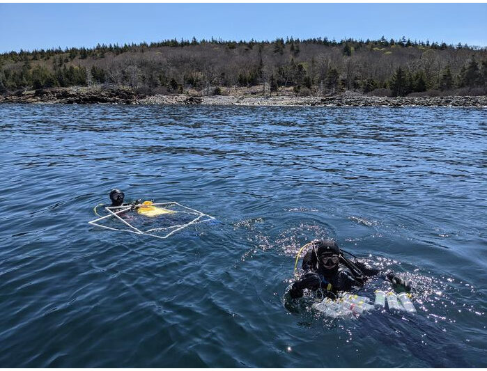 Gulf of Maine Dive Survey
