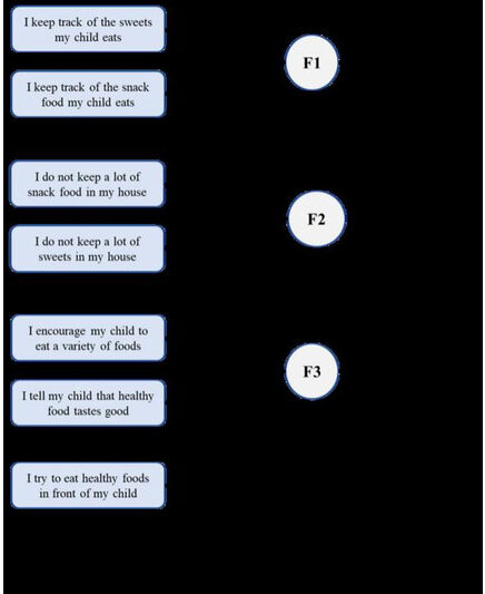 Domains of food parenting