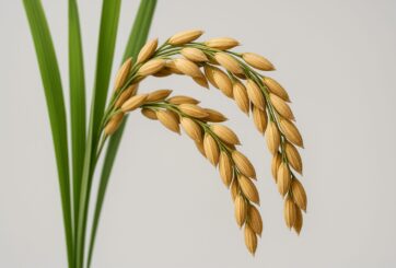 AI Generated Image