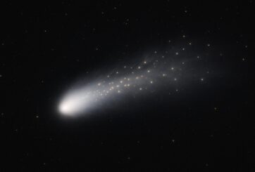 AI Generated Image