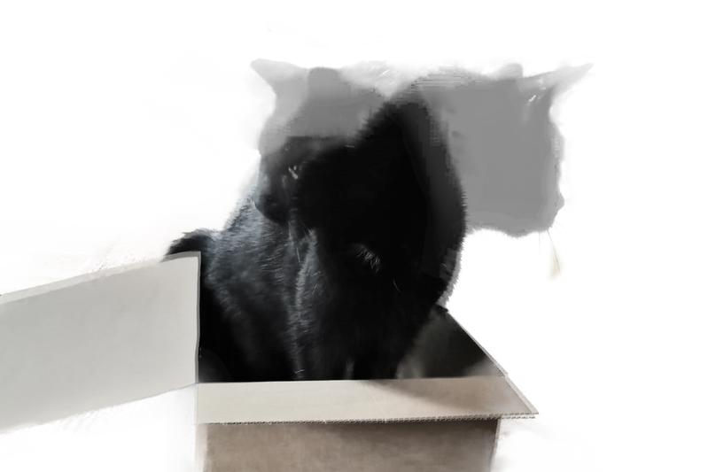 Schrödinger's Cat with 20 Qubits - Innovations Report